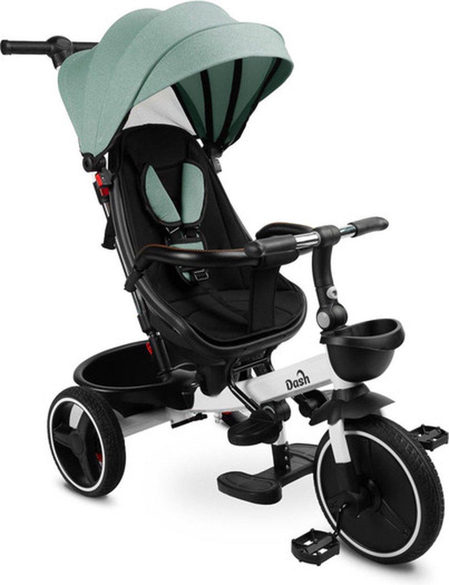 Caretero Toyz Dash Driewieler Groen - Driewieler met Duwstang - Beschermkap Tegen Zon en Regen - Draaibare Zitting - Verstelbare Voetsteunen - Driewieler Peuter (6152527219213)