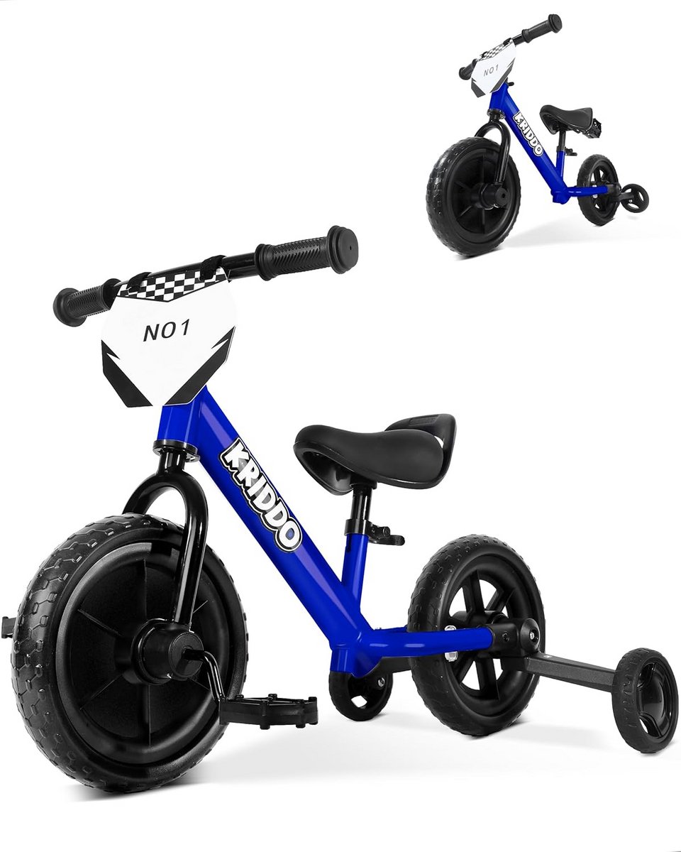 2-in-1 Loopfiets en Driewieler voor Peuters (18 Mnd - 3 Jaar) - Blauw (9101058572738)