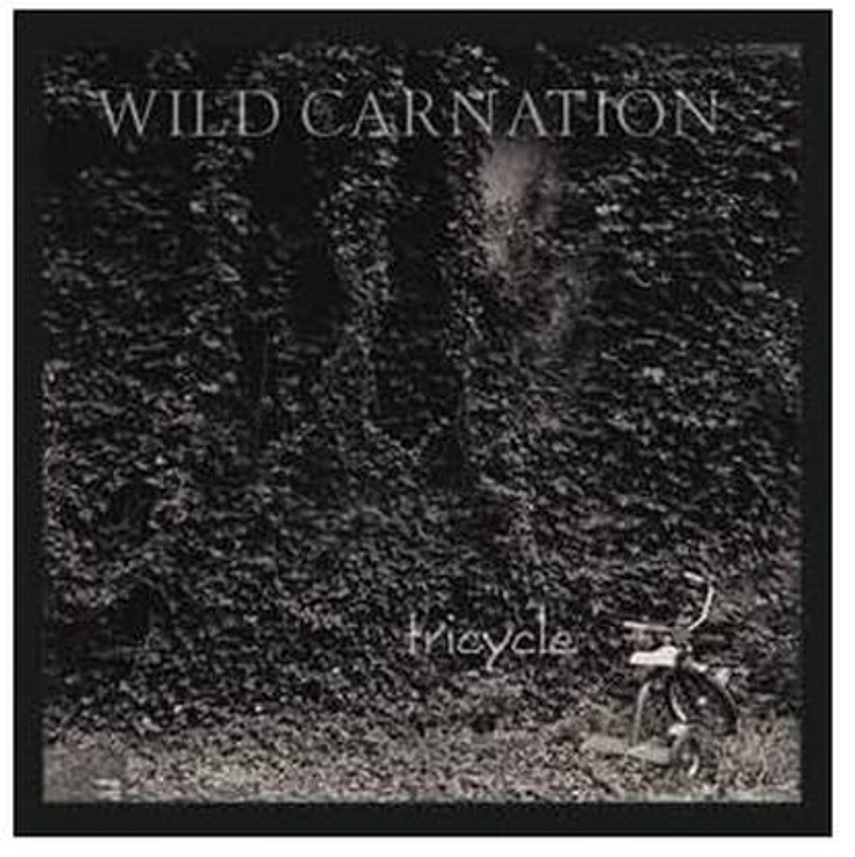 Driewieler voor Kinderen - Veilig en Leuk (9101054884446)