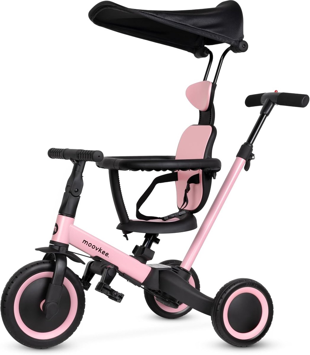 6-in-1 Driewieler vanaf 1 Jaar met Duwstang en Zonnedak - Kinderfiets Dreumes/Peuter tot 5 Jaar (5904722258945)