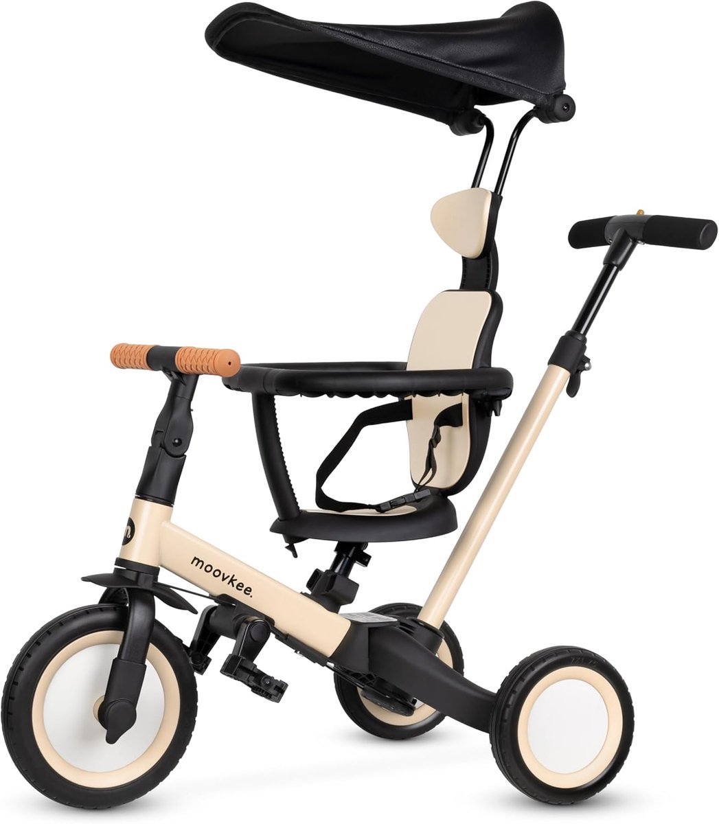 6-in-1 Driewieler vanaf 1 Jaar met Duwstang en Zonnedak - Kinderfiets Dreumes/Peuter tot 5 Jaar (5904722258921)