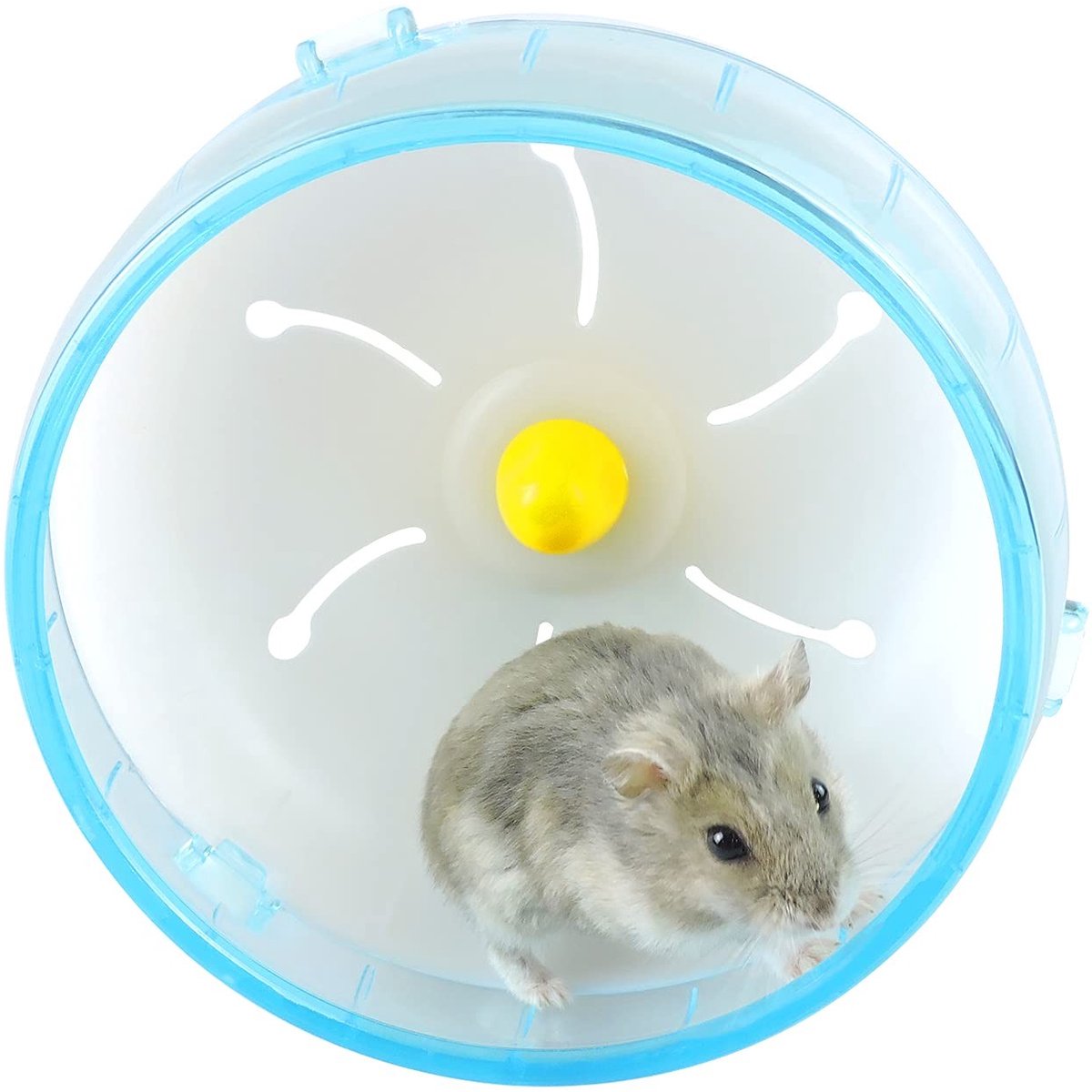 Allecto - - Hamster Walking Bike - Sport Speelgoed - Geluidsvrij - Blauw - Hamster Accessoire - Geschikt voor Dwerghamster - 14cm (2700121219883)