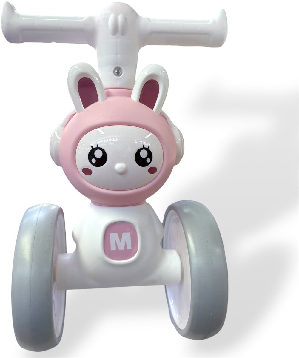 Baby Loopfiets, Kinderfiets, Peuter Fiets, Roze Kleur (8721593135154)