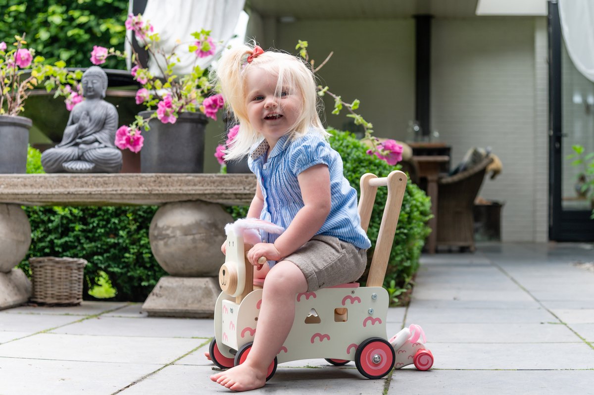 Loop / duwwagen Konijn met mini trekfiguur (8850714872507)